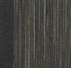 Ковровая плитка Coral Interior 1525 Prairie Dusk фото 1 | FLOORDEALER